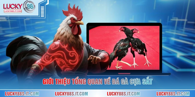 Đá Gà Cựa Sắt - Trải Nghiệm Kịch Tính Và Hấp Dẫn Nhất 2026 1 Giới thiệu tổng quan về đá gà cựa sắt